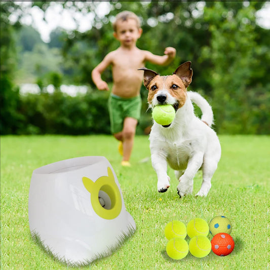 Auto Dog Ball Launcher